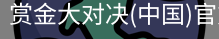 赏金大对决
